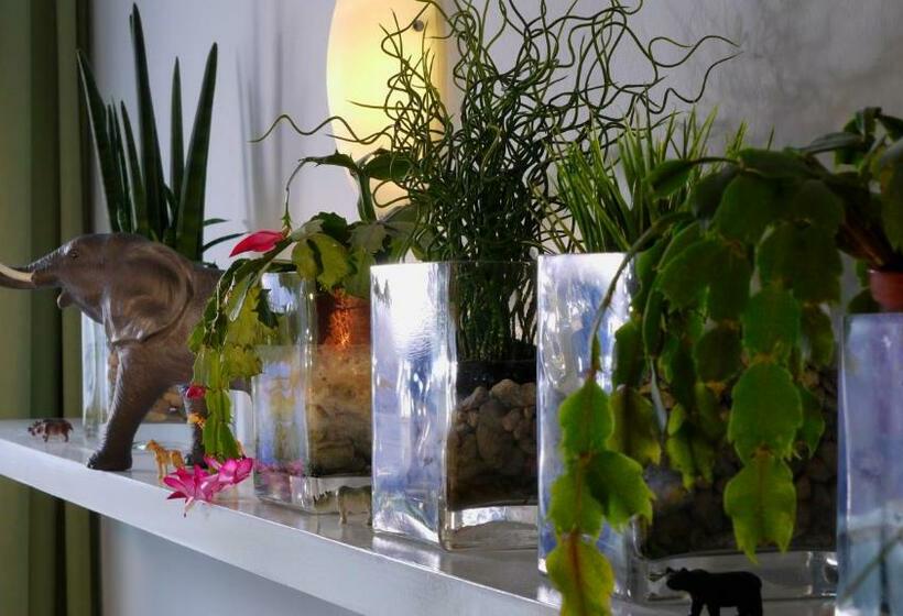 스탠다드 테마룸, Maurerhansl