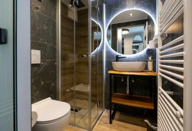 Standard Yhden Hengen Huone, Metropol