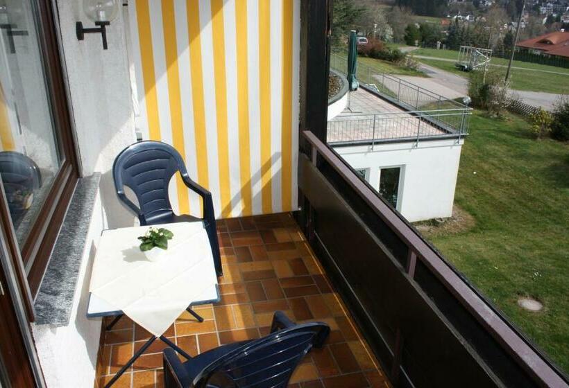 Номер Стандарт Индивидуальный с Балконом, Panorama