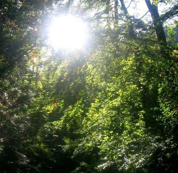 标准单人间, Restaurant & Metzgerei Rößle