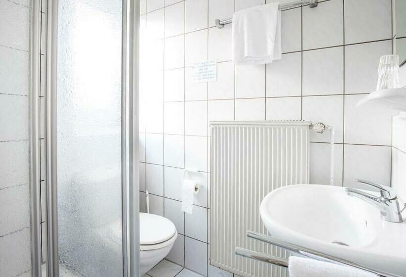 اتاق استاندارد, Schwung