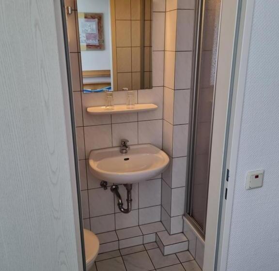 اتاق استاندارد یک نفره, Schwung