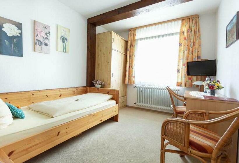 غرفة قياسية فردية, Silberdistel