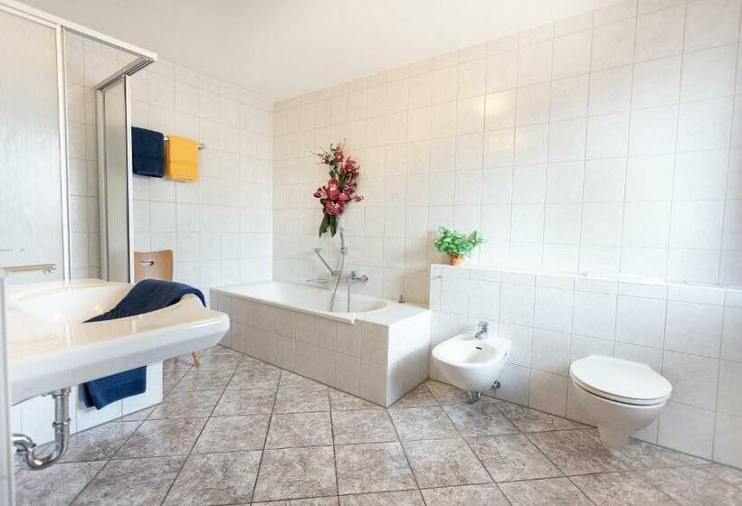 غرفة قياسية, Silberdistel