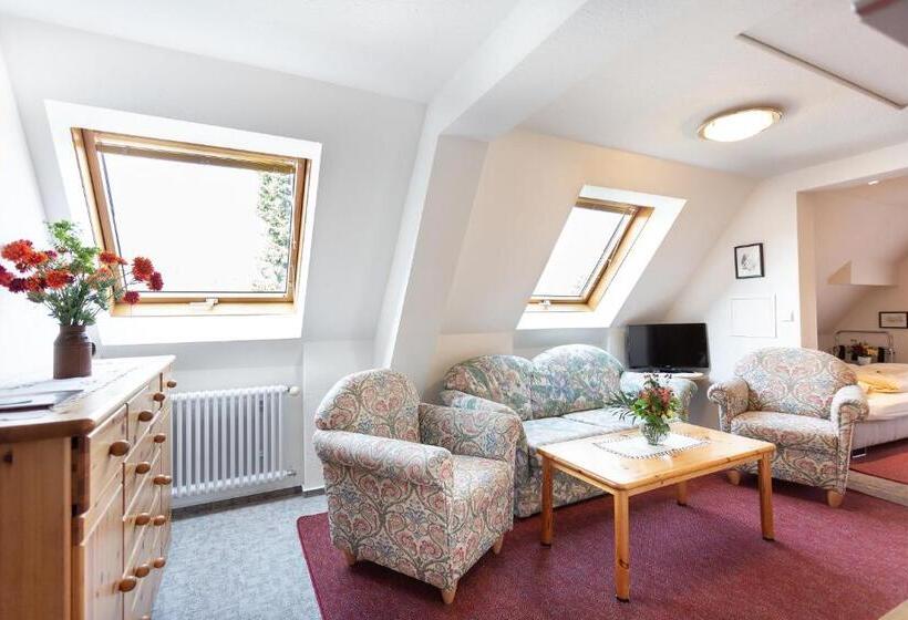 غرفة قياسية رباعية, Silberdistel