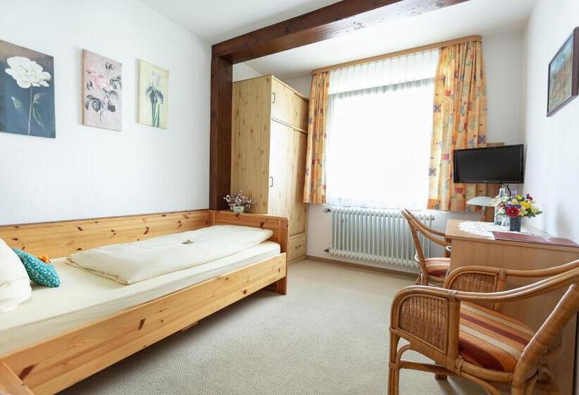 غرفة قياسية, Silberdistel