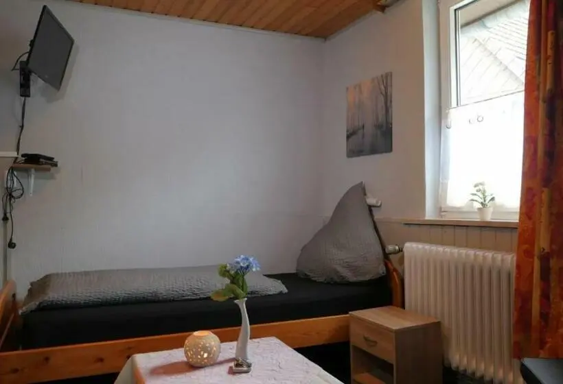 Standard Yhden Hengen Huone, Zur Post