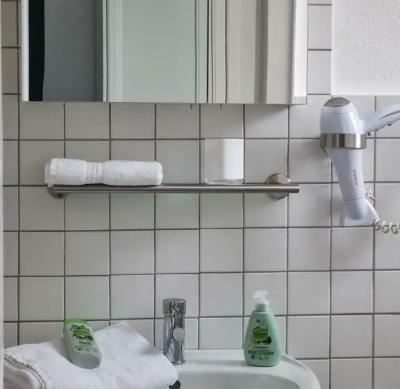 Standard Yhden Hengen Huone, Parkhotel Am Schwanenteich