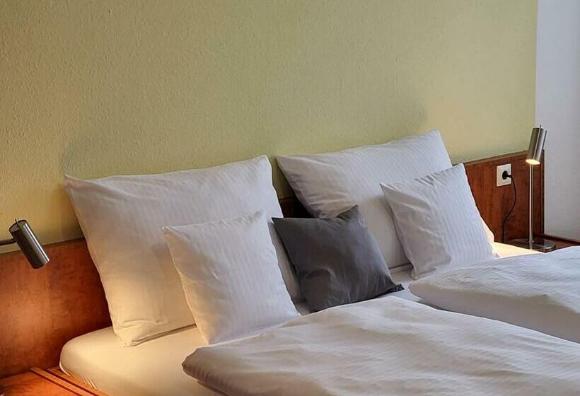 غرفة قياسية, Parkhotel Am Schwanenteich