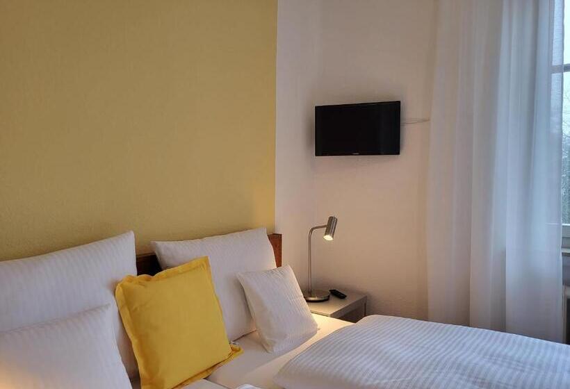 高级大房间, Parkhotel Am Schwanenteich