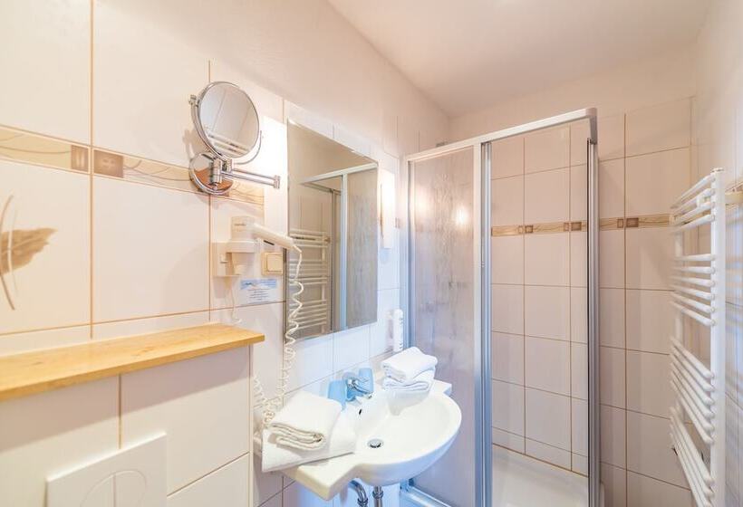 غرفة قياسية مطلّة علي البحر مزوَّدة بشُرفة, Strandhotel Zur Promenade