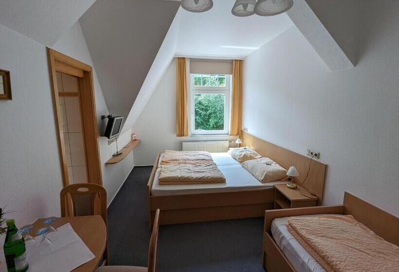 Standard Triple Room, Waldgasthaus & Berghotel Steinerne Renne
