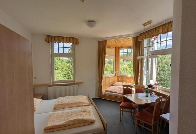 Standard Quadruple Room, Waldgasthaus & Berghotel Steinerne Renne