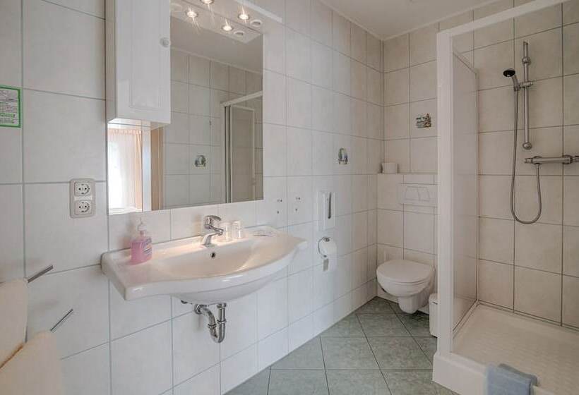 غرفة قياسية, Elbterrassen Zu Brambach