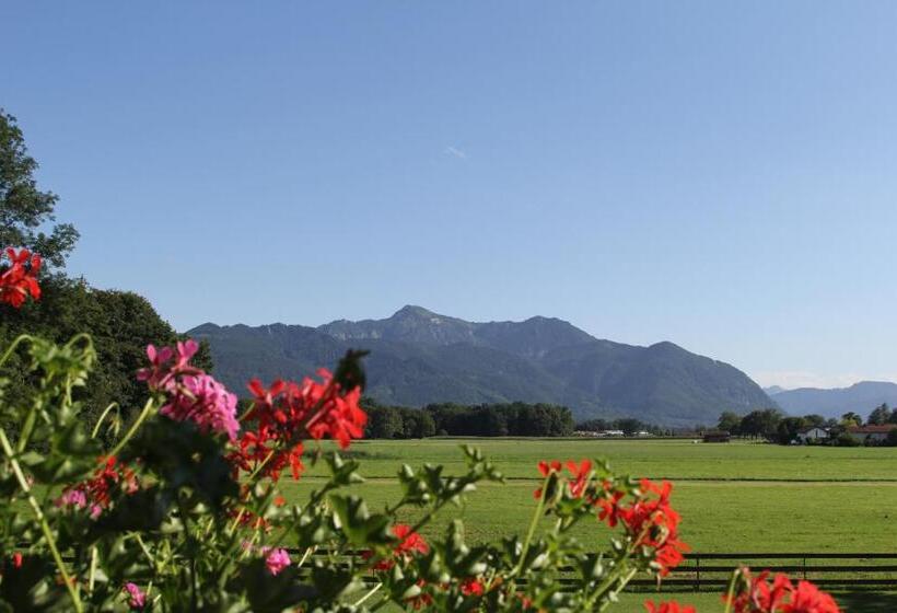 Comfort room with mountain view, Haus Waldesruh