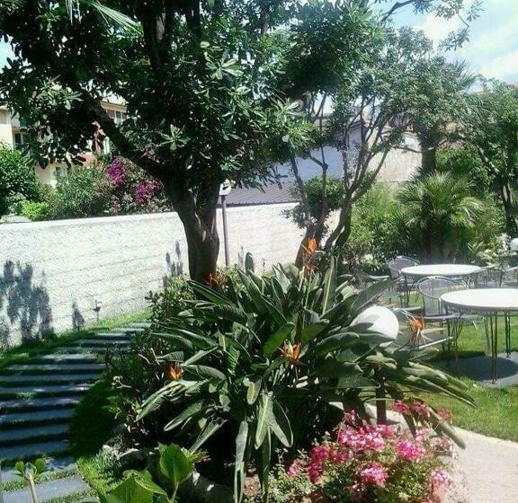 Номер Стандарт, Miramare