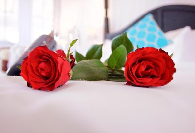 Suite Sea View, Ok Divers Resort & Spa