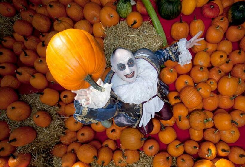 Номер Стандарт, Rheintal