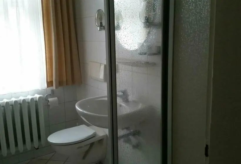 Standard Yhden Hengen Huone, Landhotel Wettin
