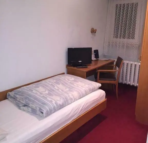 Standard Yhden Hengen Huone, Landhotel Wettin