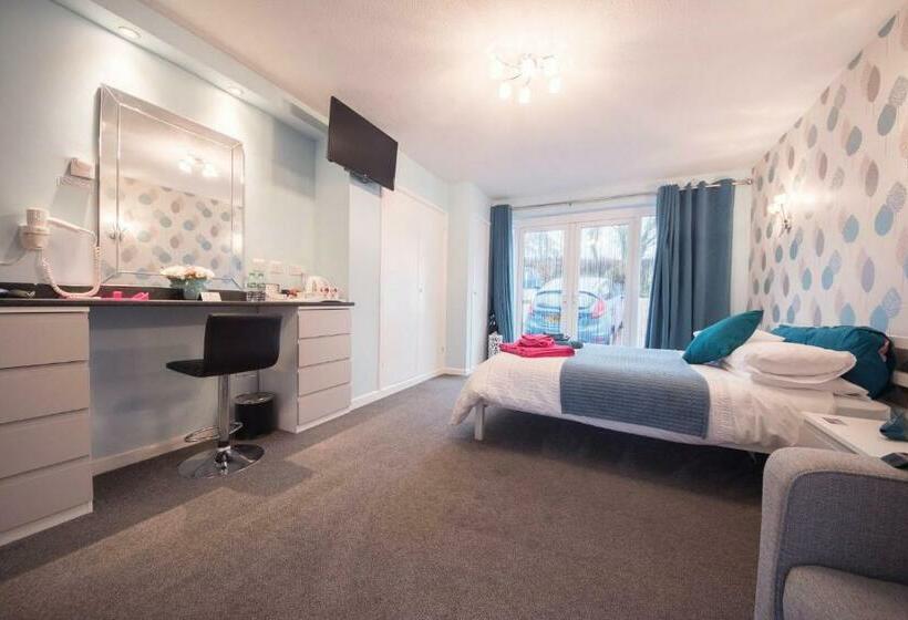 إستوديو ديلوكس, Talybont B&b Aberystwyth