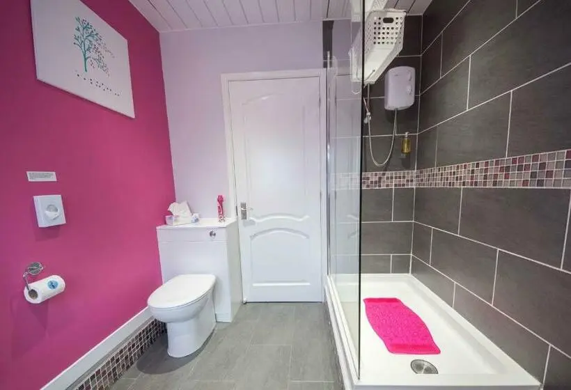 デラックススタジオ, Talybont B&b Aberystwyth