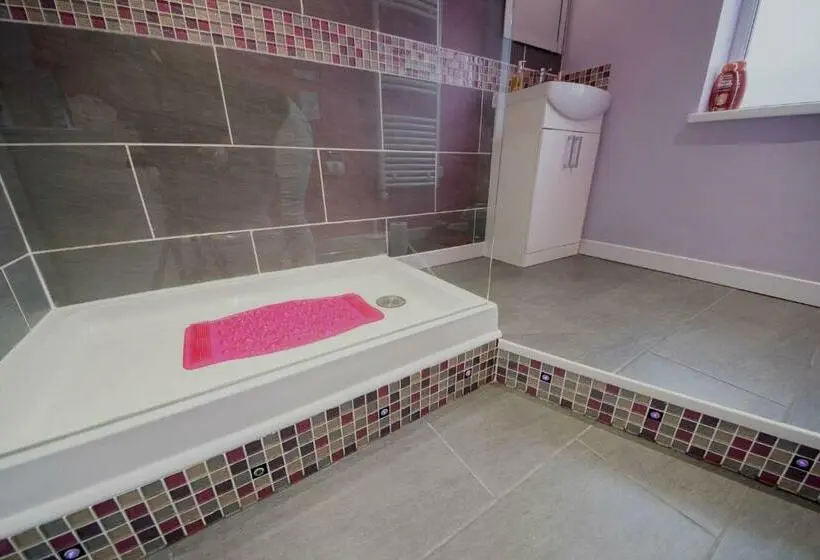 デラックススタジオ, Talybont B&b Aberystwyth