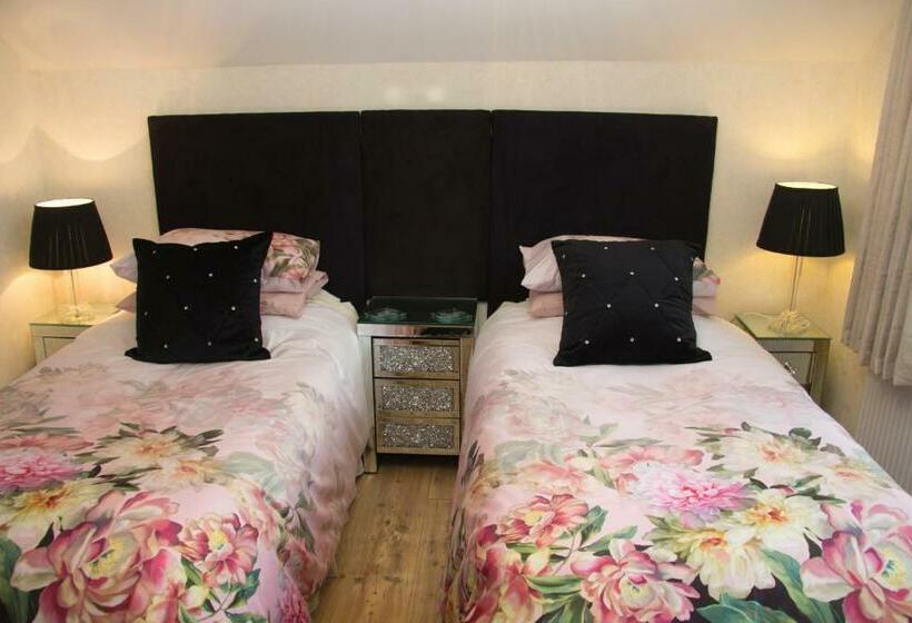 スタンダードルーム, Deneview