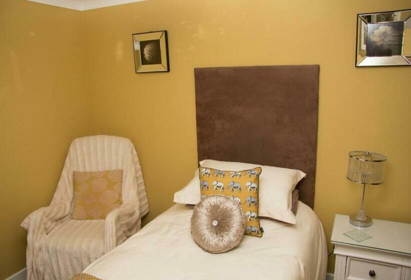 スタンダードシングルルーム, Deneview