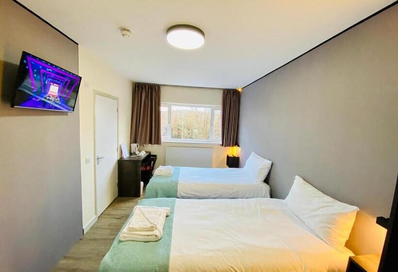 غرفة قياسية, Almond Tree