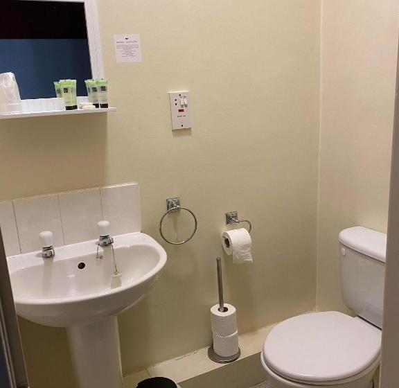 חדר משפחתי, The Black Swan