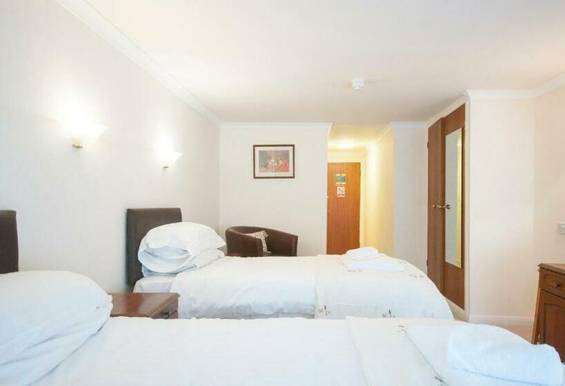 标准间, Trewern Arms