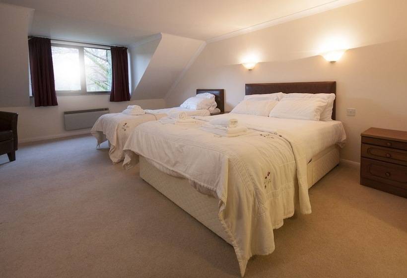 标准三人间, Trewern Arms