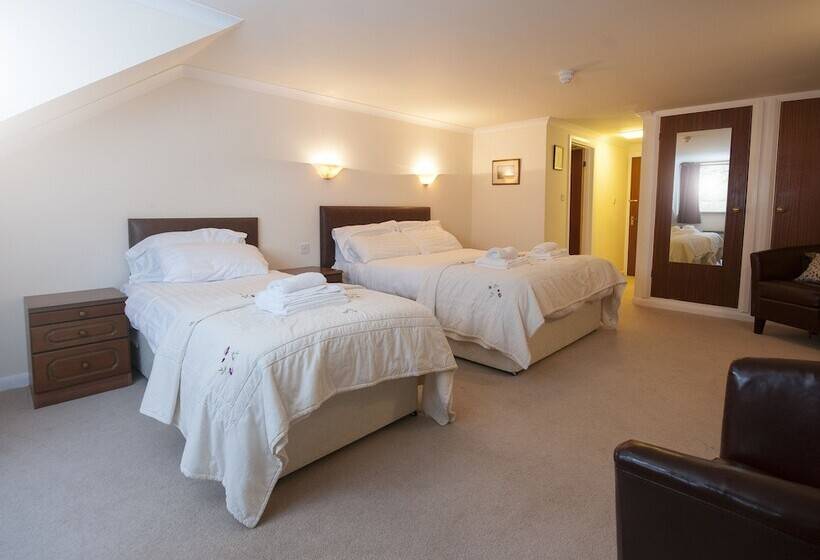 חדר סטנדרט לשלושה, Trewern Arms