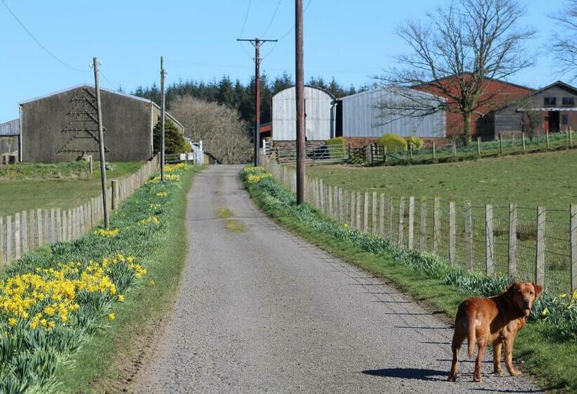 Номер Стандарт, Shandon Farmhouse Bed And Breakfast