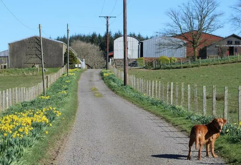 スタンダードルーム, Shandon Farmhouse Bed And Breakfast