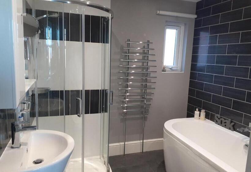 اتاق سوپریور با تخت بزرگ, South Beach B & B