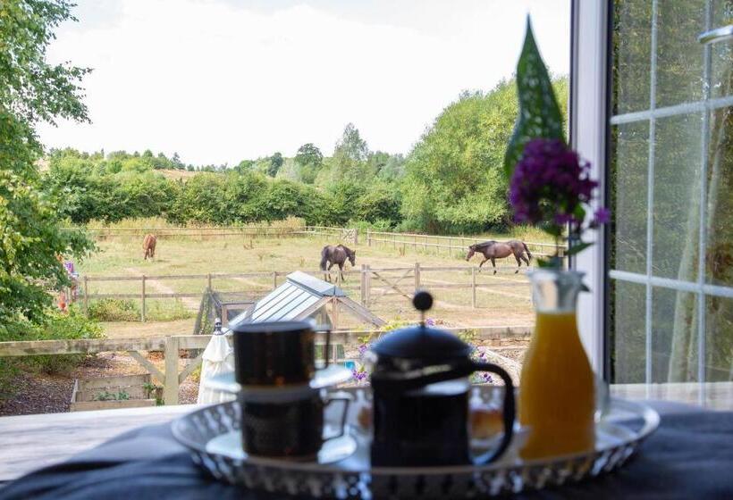 سوییت جونیور لوکس, Cherry Orchard Farm