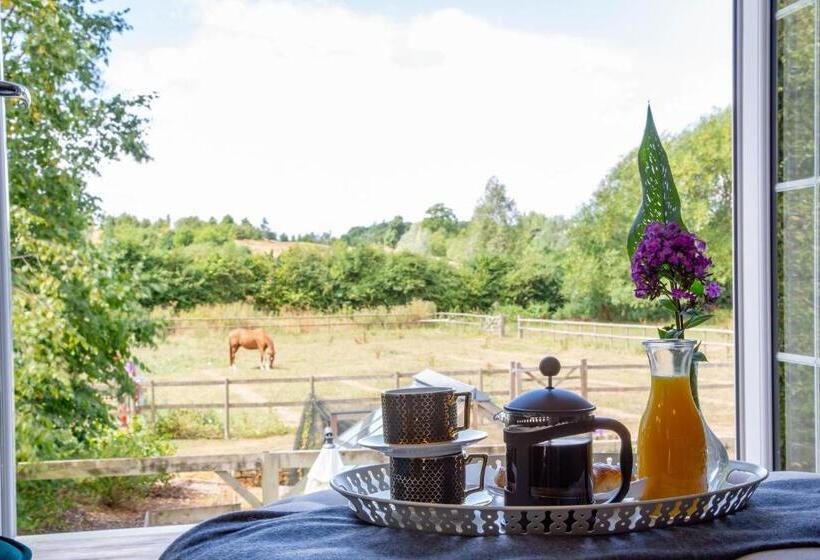 سوییت جونیور لوکس, Cherry Orchard Farm