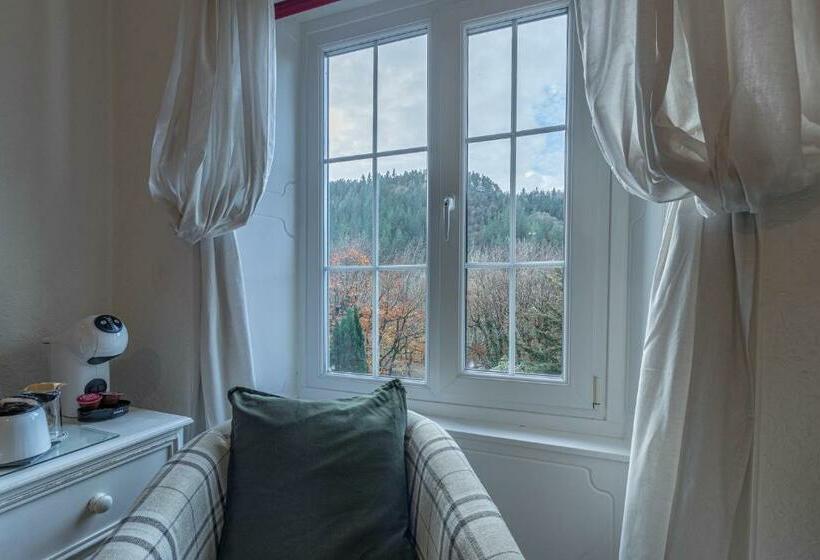 标准间, Glyntwrog House