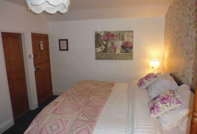 Номер Стандарт, The Cables