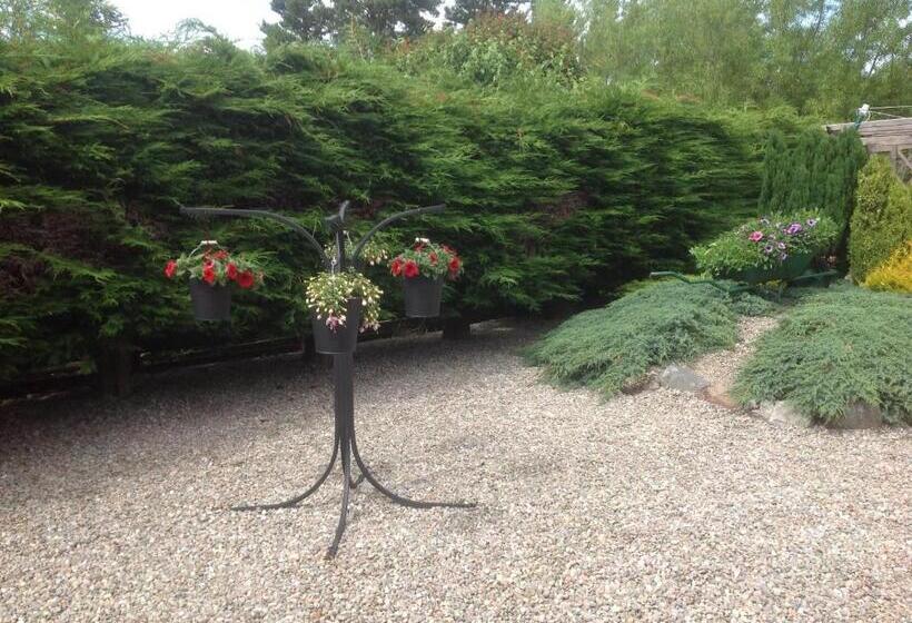 家庭间, Dunroamin Bed And Breakfast