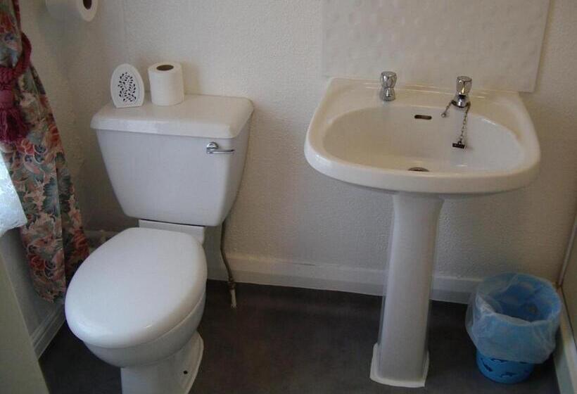 スタンダードシングルルーム, Royale