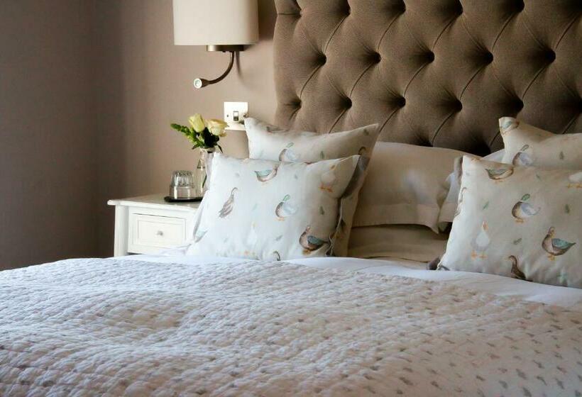 Camera Standard, The Fuzzy Duck