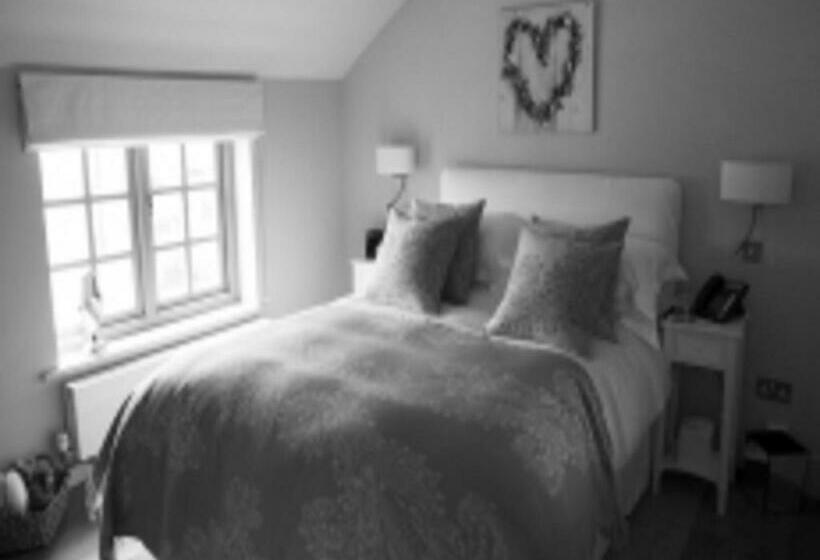 Camera Standard, The Fuzzy Duck