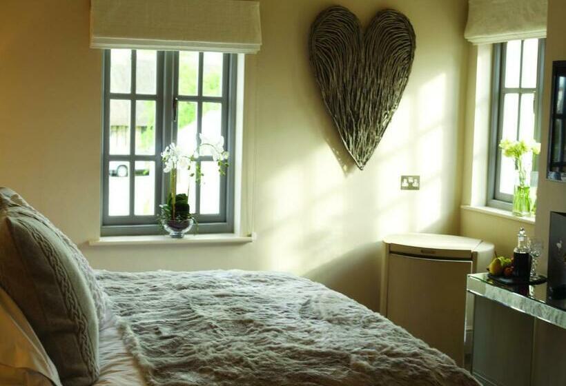 Camera Superiore Letto King, The Fuzzy Duck