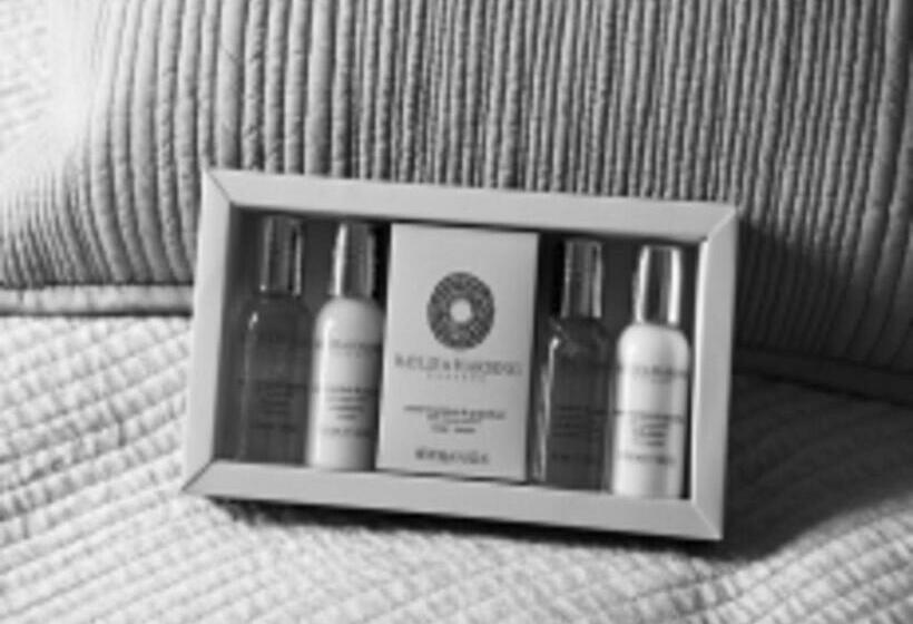 Pokój Standard, The Fuzzy Duck