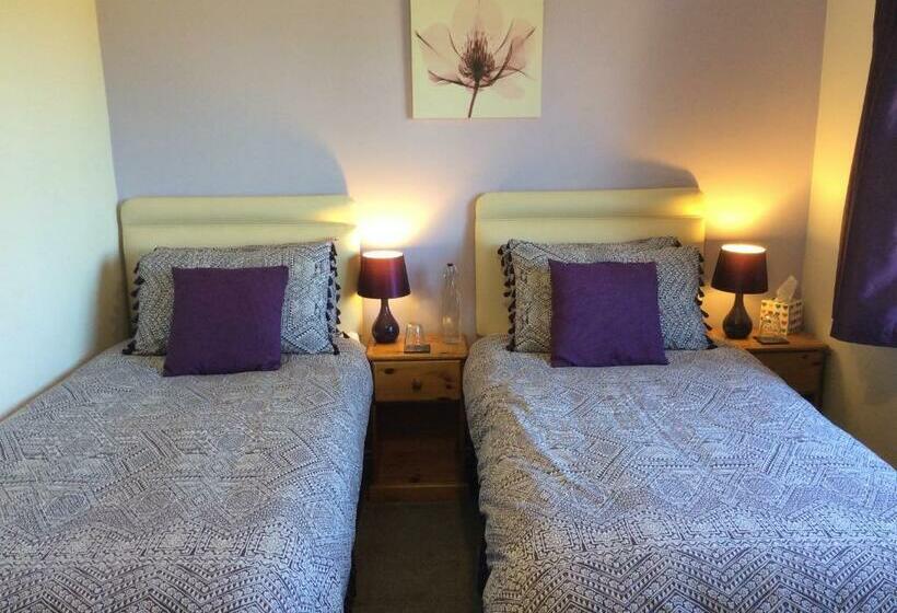 スタンダードルーム, The Great Grubb