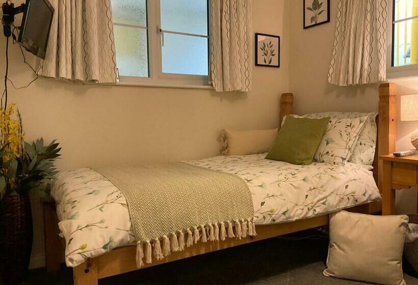 スタンダードシングルルーム, The Great Grubb