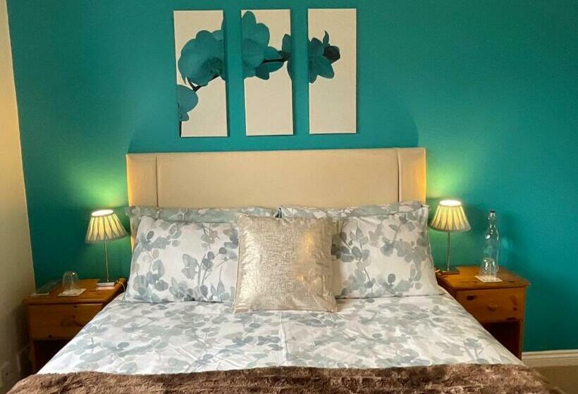 スタンダードルーム, The Great Grubb